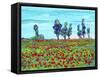 6 Poppy Field-Howie Green-Framed Stretched Canvas