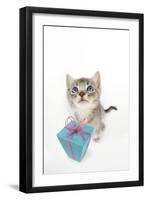 6 Week Old Somali Cross Asian Kitten with Present-null-Framed Photographic Print