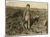 6 Year Old Jo Pulling Sugar Beets on a Farm Near Sterling, Colorado, 1915-Lewis Wickes Hine-Mounted Giclee Print
