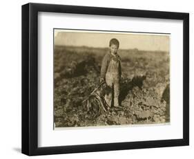 6 Year Old Jo Pulling Sugar Beets on a Farm Near Sterling, Colorado, 1915-Lewis Wickes Hine-Framed Giclee Print