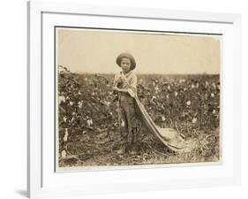 6-Year Old Warren Frakes with About 20 Pounds of Cotton in His Bag at Comanche County-Lewis Wickes Hine-Framed Photographic Print