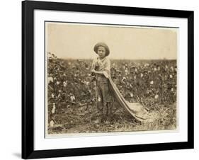 6-Year Old Warren Frakes with About 20 Pounds of Cotton in His Bag at Comanche County-Lewis Wickes Hine-Framed Photographic Print