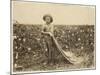 6-Year Old Warren Frakes with About 20 Pounds of Cotton in His Bag at Comanche County-Lewis Wickes Hine-Mounted Photographic Print