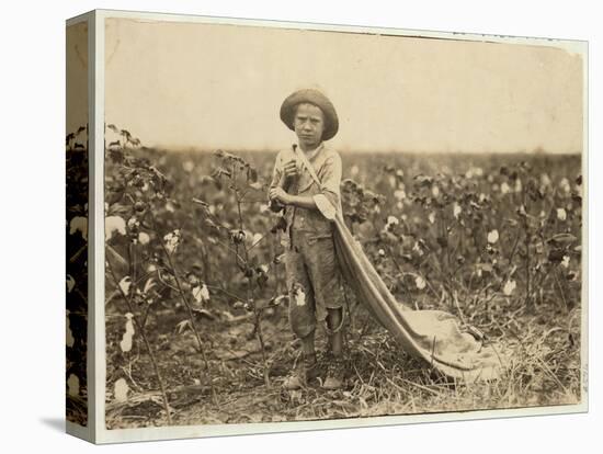 6-Year Old Warren Frakes with About 20 Pounds of Cotton in His Bag at Comanche County-Lewis Wickes Hine-Stretched Canvas