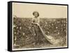 6-Year Old Warren Frakes with About 20 Pounds of Cotton in His Bag at Comanche County-Lewis Wickes Hine-Framed Stretched Canvas