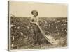 6-Year Old Warren Frakes with About 20 Pounds of Cotton in His Bag at Comanche County-Lewis Wickes Hine-Stretched Canvas