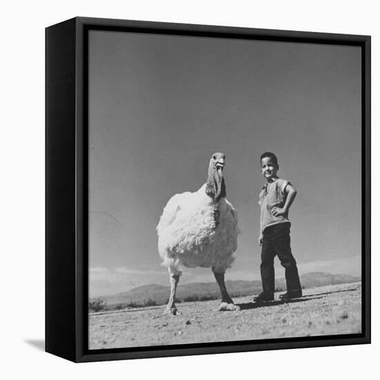 60 lb. Hybrid Turkey with 35 lb. Donny Bigfeather-Ralph Crane-Framed Stretched Canvas