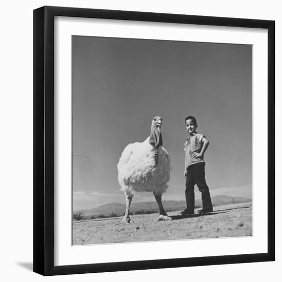60 lb. Hybrid Turkey with 35 lb. Donny Bigfeather-Ralph Crane-Framed Photographic Print