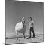 60 lb. Hybrid Turkey with 35 lb. Donny Bigfeather-Ralph Crane-Mounted Photographic Print