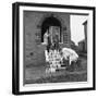 60 Pints of Milk, Advertisment for the Barnsley Co-Op, Mexborough, South Yorkshire, 1964-Michael Walters-Framed Photographic Print