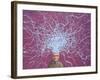 60 Watts-James W. Johnson-Framed Giclee Print