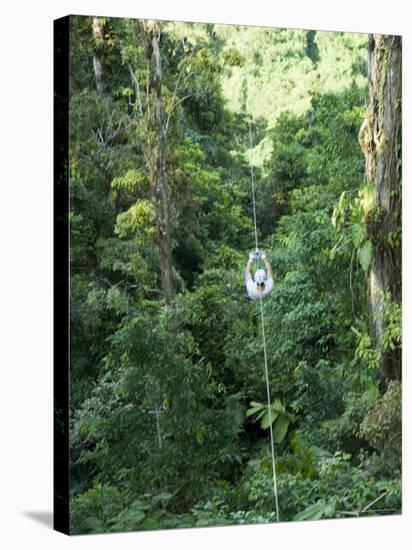 600 Metre Zip Line at the Top of the Sky Tram at Arenal Volcano, Costa Rica, Central America-R H Productions-Stretched Canvas