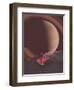 #609-spacerocket art-Framed Premium Giclee Print