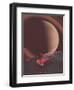 #609-spacerocket art-Framed Premium Giclee Print