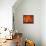 62CO-Pierre Henri Matisse-Framed Stretched Canvas displayed on a wall