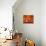 62CO-Pierre Henri Matisse-Stretched Canvas displayed on a wall