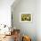 65CO-Pierre Henri Matisse-Framed Giclee Print displayed on a wall