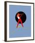 68CO-Pierre Henri Matisse-Framed Premium Giclee Print