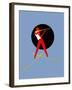 68CO-Pierre Henri Matisse-Framed Giclee Print