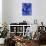 69CO-Pierre Henri Matisse-Stretched Canvas displayed on a wall