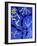 69CO-Pierre Henri Matisse-Framed Giclee Print