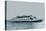 69th Street Ferry-Herbert L. Van Colt-Stretched Canvas