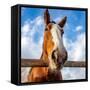 6U5A347-Jeff Poe-Framed Stretched Canvas