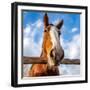 6U5A347-Jeff Poe-Framed Photo