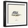 7:02 Toothbrush - Drawing-teacept-Framed Art Print