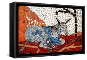 (7) From The Series, Twelve Tribes Of Israel-Joy Lions-Framed Stretched Canvas