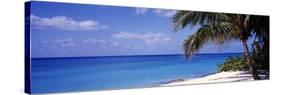 7 Mile Beach, West Bay, Caribbean Sea, Cayman Islands-null-Stretched Canvas