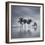 7 Palmeras-Moises Levy-Framed Premium Photographic Print