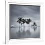 7 Palmeras-Moises Levy-Framed Photographic Print