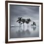 7 Palmeras-Moises Levy-Framed Photographic Print