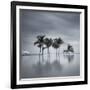 7 Palmeras-Moises Levy-Framed Photographic Print