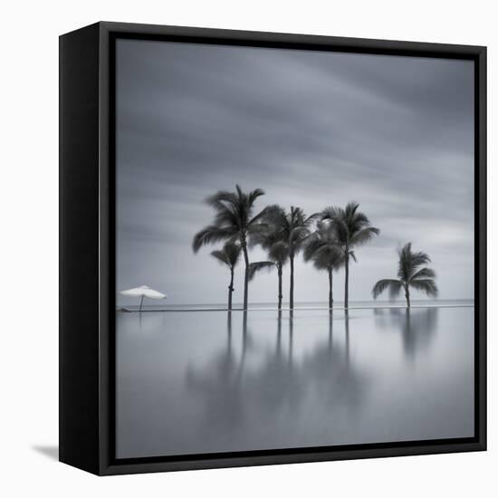 7 Palmeras-Moises Levy-Framed Stretched Canvas
