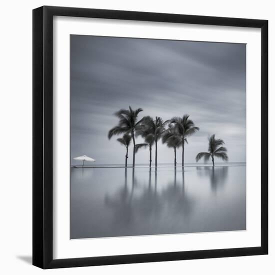 7 Palmeras-Moises Levy-Framed Photographic Print
