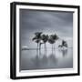 7 Palmeras-Moises Levy-Framed Photographic Print