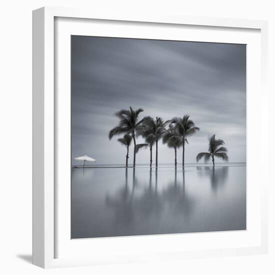 7 Palmeras-Moises Levy-Framed Photographic Print