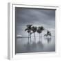 7 Palmeras-Moises Levy-Framed Photographic Print