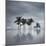 7 Palmeras-Moises Levy-Mounted Photographic Print