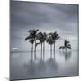 7 Palmeras-Moises Levy-Mounted Photographic Print