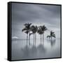 7 Palmeras-Moises Levy-Framed Stretched Canvas