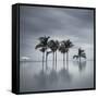 7 Palmeras-Moises Levy-Framed Stretched Canvas