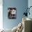 7-Weeks, Gold-Shaded and Silver-Shaded Persian Kittens in Watering Can Surrounded by Flowers-Jane Burton-Mounted Photographic Print displayed on a wall