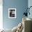 7-Weeks, Gold-Shaded and Silver-Shaded Persian Kittens in Watering Can Surrounded by Flowers-Jane Burton-Framed Photographic Print displayed on a wall