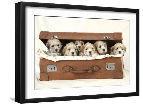 Premium Photographic Print, , large