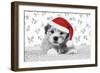 7 Weeks Old Lhasa Apso Cross Shih Tzu Puppy-null-Framed Photographic Print