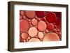 7011_Red exit-Heidi Westum-Framed Photographic Print