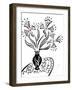 73CO-Pierre Henri Matisse-Framed Giclee Print